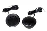 Rockford Fosgate R1T-S Rockford Fosgate R1T-S