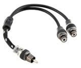 Rockford Fosgate RFITY-1M Rockford Fosgate RFITY-1M